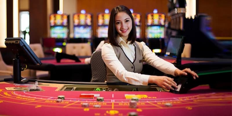 Lương dealer chia bài tại sao lại được quan tâm?